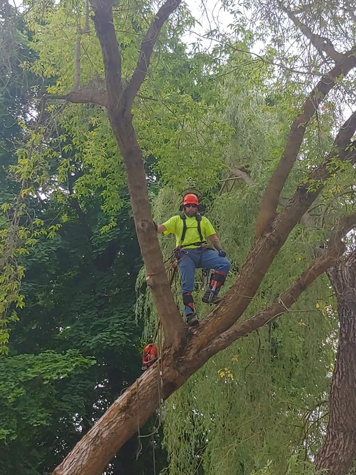 67100473_693970871065622_1654023147281711104_n